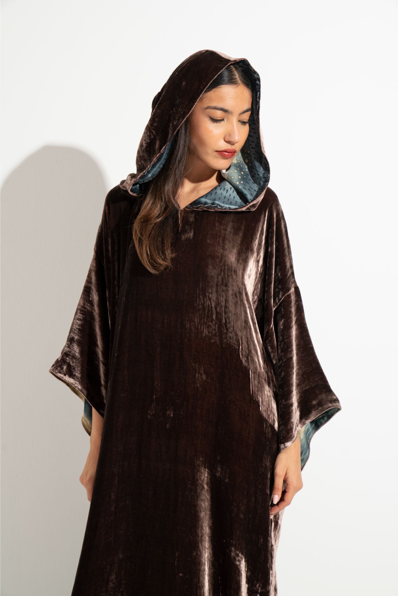 Velvet Dress A17