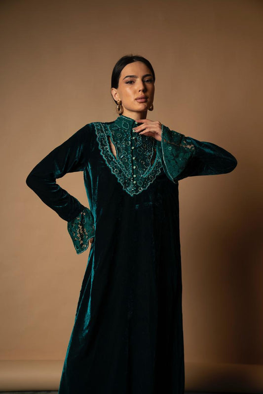 The Vintage Rose Velvet Dress