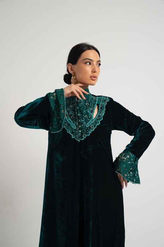 The Vintage Rose Velvet Dress