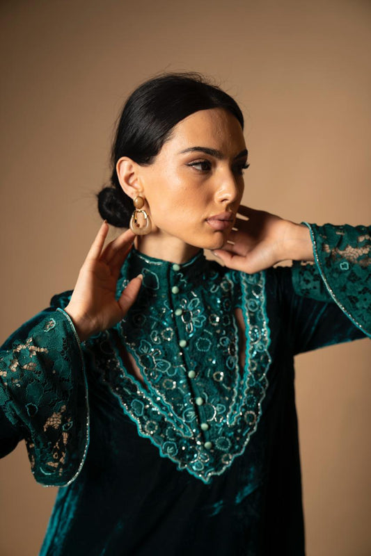 The Vintage Rose Velvet Dress